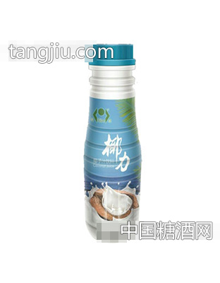 绿健椰子汁饮料310克