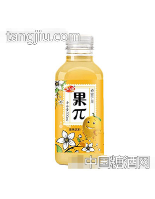 今六源果π蜂蜜芒果果味饮料500ml