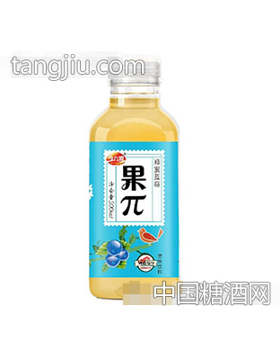 今六源果π蜂蜜蓝莓果味饮料500ml