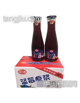 金六源蓝莓原浆果汁饮料箱装