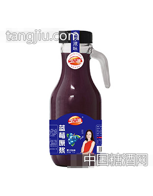 今六源蓝莓原浆果汁1.5L