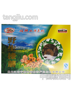 祥伟野生榛蘑盒装一级品