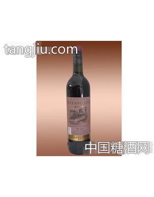 金装系列95优选干红