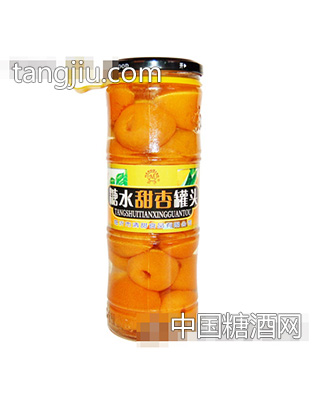 高竹节600g糖水杏罐头