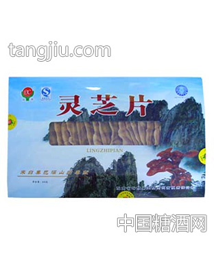 向杨