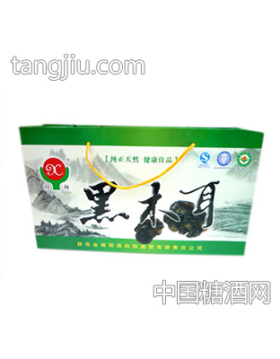 向杨