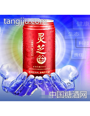 灵芝谷植物饮料——310ml1*6