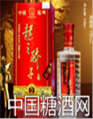 龙之骄子陈酿5
