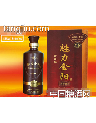 魅力金阳窖藏（5）
