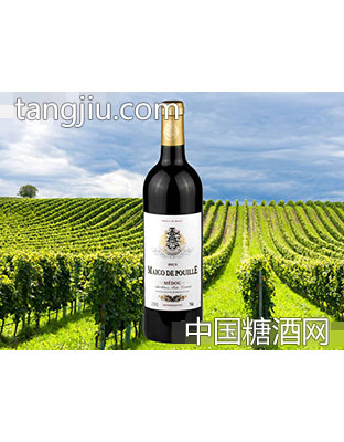 玛歌菩伊乐塞班干红葡萄酒