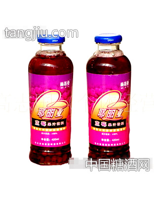 两瓶耶丽亚蓝莓汁