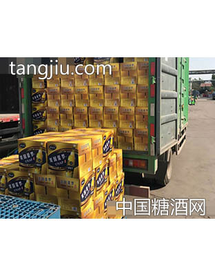 美国保罗啤酒发往海南