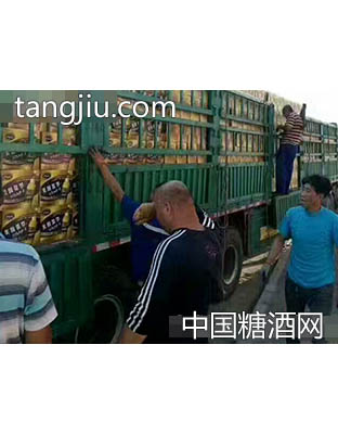 美国保罗啤酒500ml白哈瓶装车现场