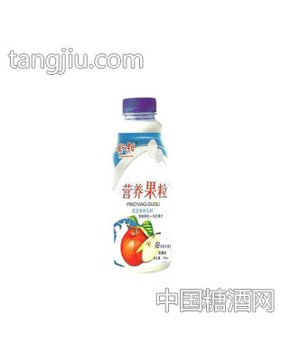 莫干山果园苹果味营养果粒