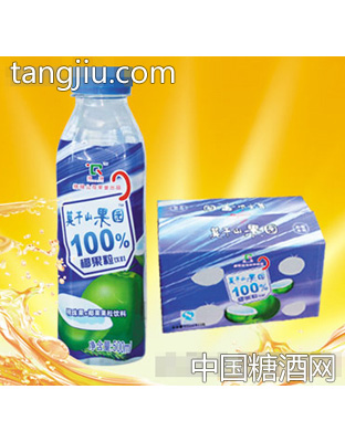 99%椰果粒饮料500ml
