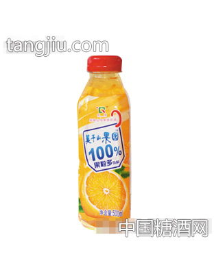 99%果粒多饮料500ml