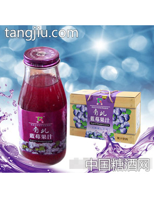 有机蓝莓果汁300ml