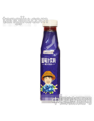 妙无至品蓝莓汁饮料420ml