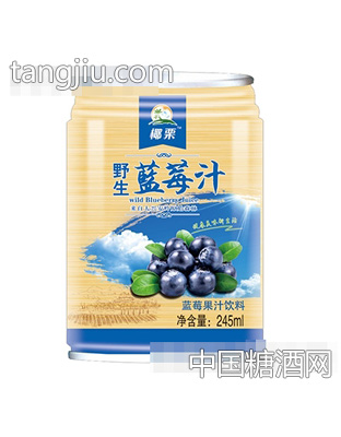 椰栗野生蓝莓汁245ml