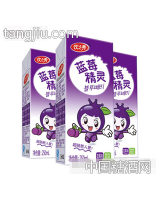 饮之秀蓝莓精灵250ml