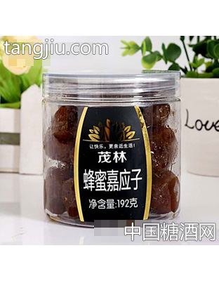 192克蜂蜜嘉应子