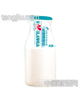 木兰花乳酸菌酸奶200g