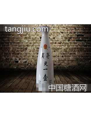 莫茅新品烫一壶酒