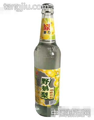 鼎立野刺梨碳酸饮料