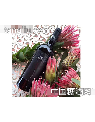 南非咖啡品诺奇干红葡萄酒
