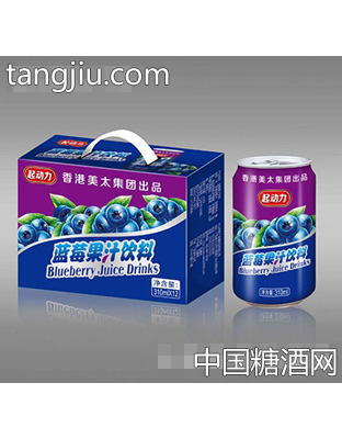 起动力310ml蓝莓果汁
