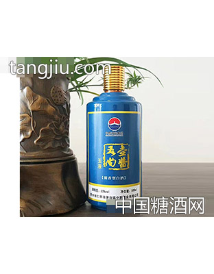 吾壶尚酱酒·玉液