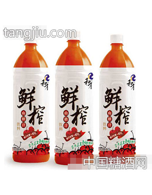 1.25L和才鲜榨山楂汁饮料