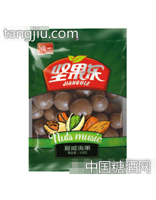 涵一坚果乐夏威夷果