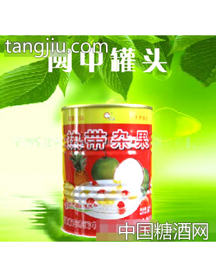 热带杂果罐头267g