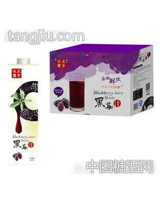 水禾精华黑莓汁系列980克
