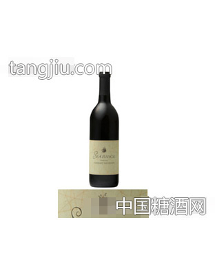 黑衣骑士