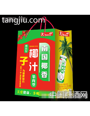 南国椰香椰子汁24罐装手挽礼袋