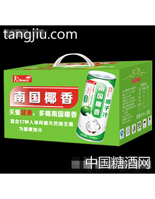 南国椰香椰子汁12罐装开窗礼盒