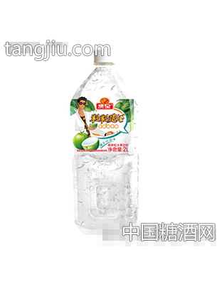 椰果粒水果饮料
