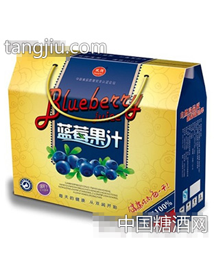 双润蓝莓汁