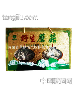 钱毅天然野生蘑菇