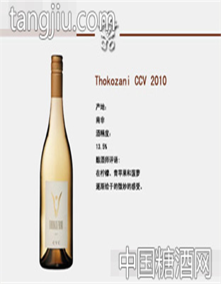 thokozani ccv 2010