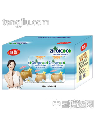致奇椰子汁饮料245mlx12罐