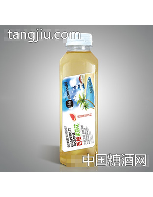 480ml片断西柚茉莉花果味饮料