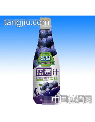 浩溢蓝莓汁1.25l