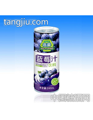 浩溢蓝莓汁245ml
