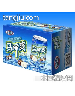 浩溢马蹄爽荸荠饮料
