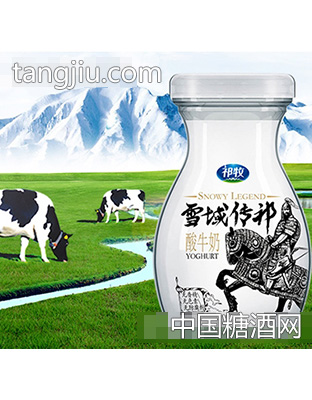 祁牧雪域传祁酸牛奶200g