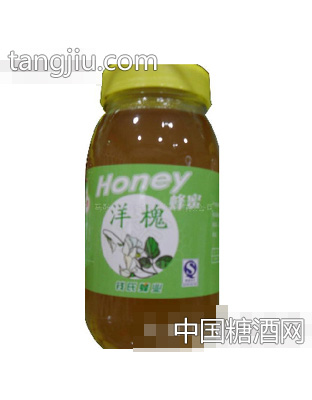 钱氏洋槐蜜