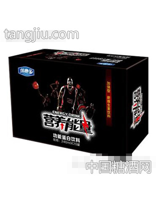 利智园营养能量功能蛋白饮料240mlX20